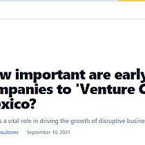 How important are early stage companies to 'Venture Capital' in Mexico?